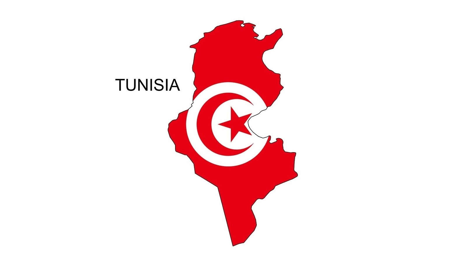 UN/USAID Covid19 Treatment Projects, Tunisia